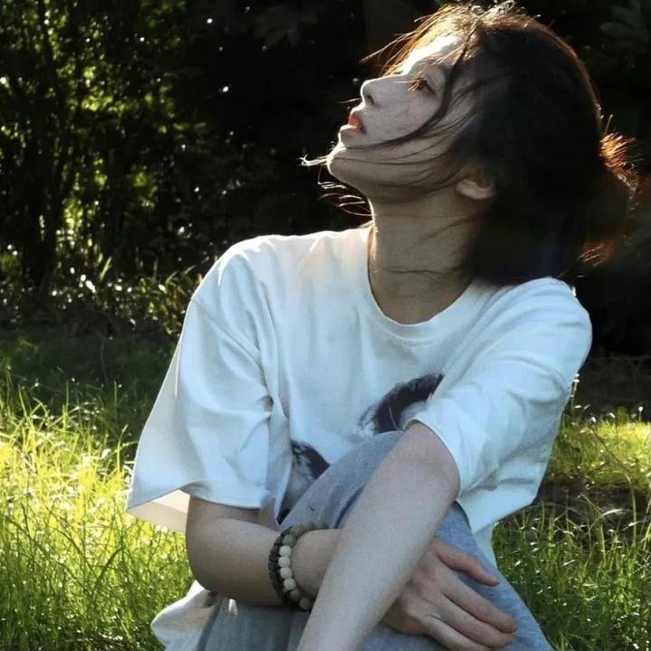 科西嘉岛的夏天